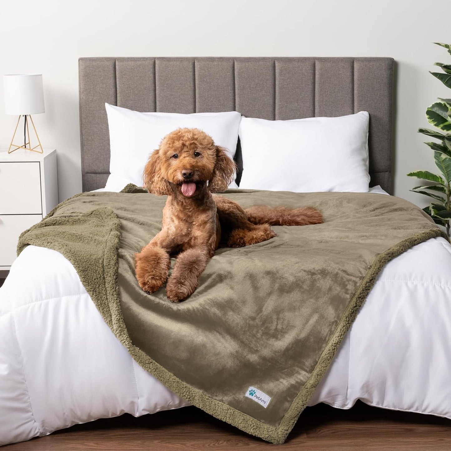 WATERPROOF Dog Blanket for Medium Large Dog, Pet Puppy Blanket Couch Cover Protection, Sherpa Fleece Cat Blanket, Sofa Bed Furniture Protector Reversible Soft Plush Washable, 60X40 Taupe Taupe