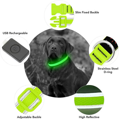 Light up Dog Collar, Rechargeable LED Dog Collar, Flashing Dog Collar, Adjustable Reflective Dog Collar Safety Glowing at Night (Green, Small)